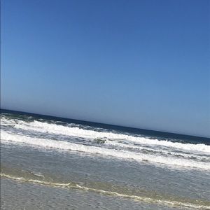 Meet your Posher, Nellie